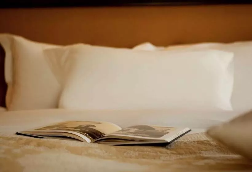 اتاق کلاسیک با تخت دوبل, Royal Hotel Oran   Mgallery Hotel Collection