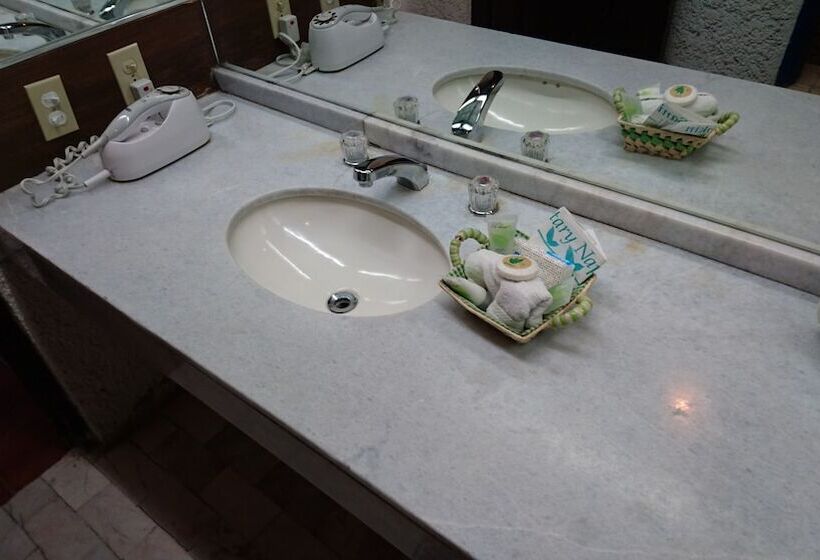 小型套房带海景, Las Rocas Resort And Spa