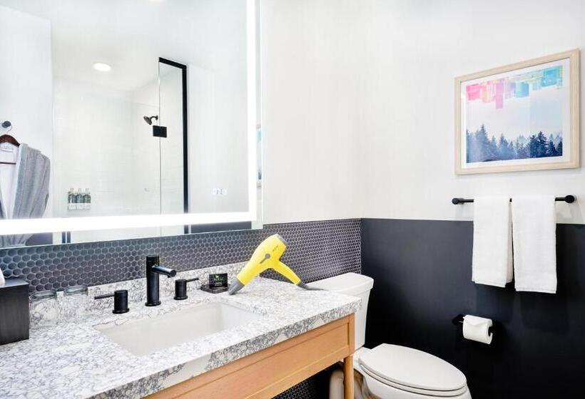 اتاق استاندارد, Hyatt Centric Downtown Denver