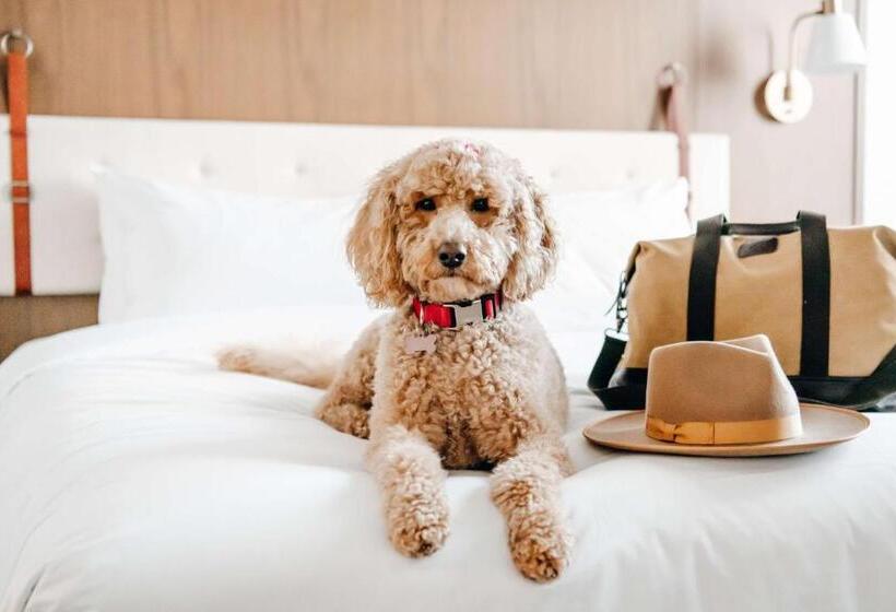 اتاق استاندارد با تخت بزرگ, Hyatt Centric Downtown Denver