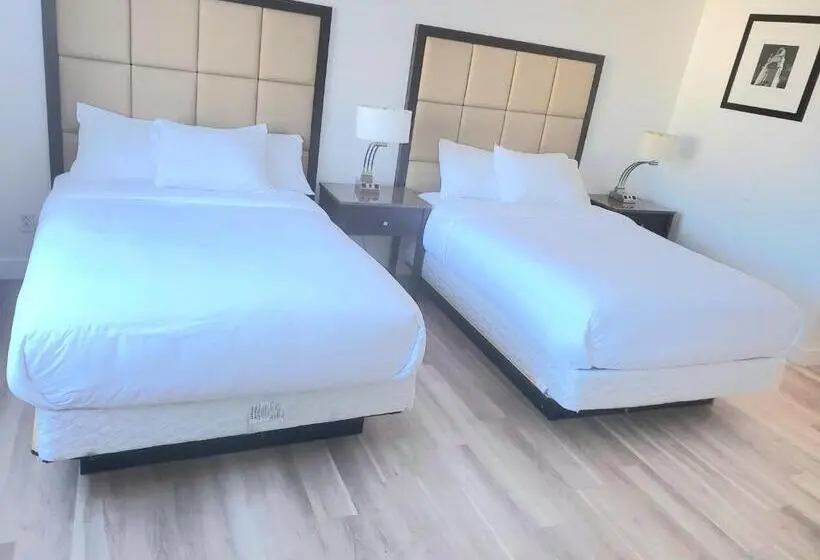 Economy Kamer, Sigma