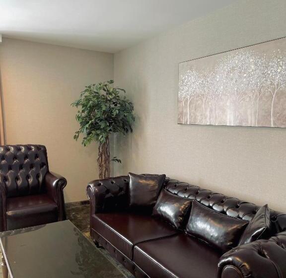 سوئیت پرزیدنت, Terme 36.6