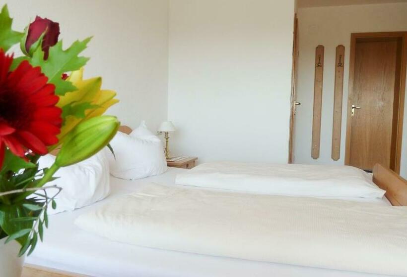 Номер Стандарт, Gasthof Adler Güttingen