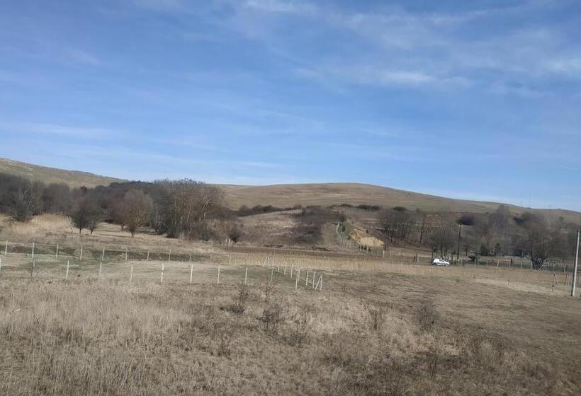 Номер Стандарт, Miklós Fogadó és étterem