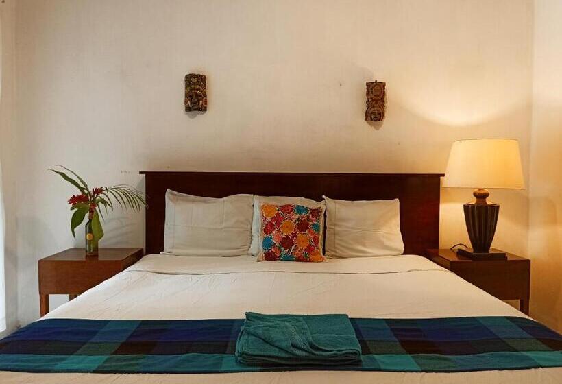 اتاق استاندارد, Casa De Los Pájaros B&b