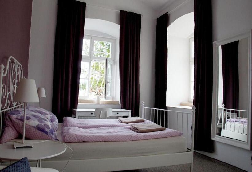 غرفة قياسية, Penzion Zámek Rozsochatec