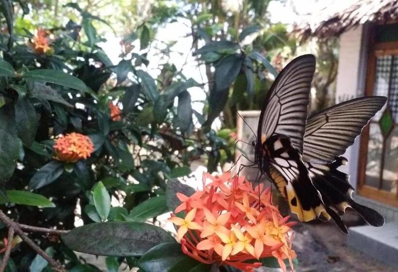 Standard Stúdió Szoba, Villa Isabella Putri B&b