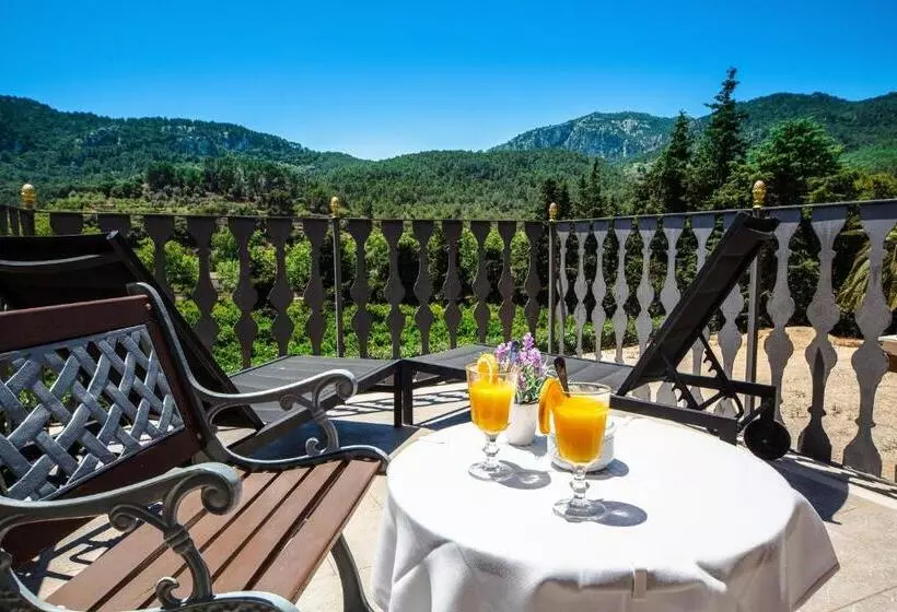 اتاق استاندارد با چشمانداز, Agroturismo Son Galceran