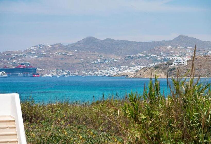 1ベッドルームスタンダードメゾネ, Corfos