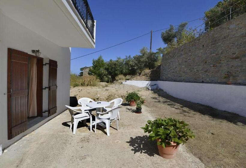 اتاق استاندارد سه نفره, Ikaros Star