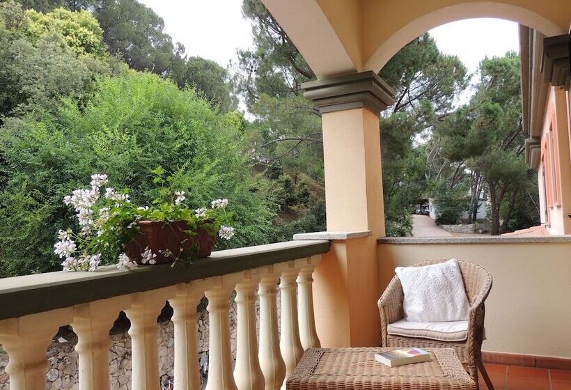 Номер Стандарт, Su Lithu