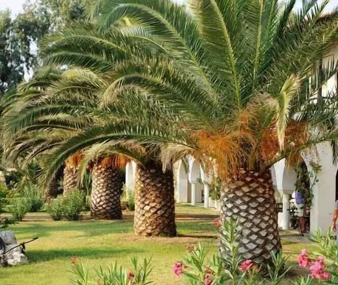 Perhehuone, Assa Maris Beach