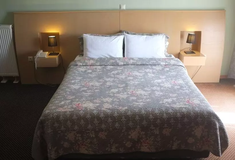 デラックスルーム, Aigai Hotel Edessa