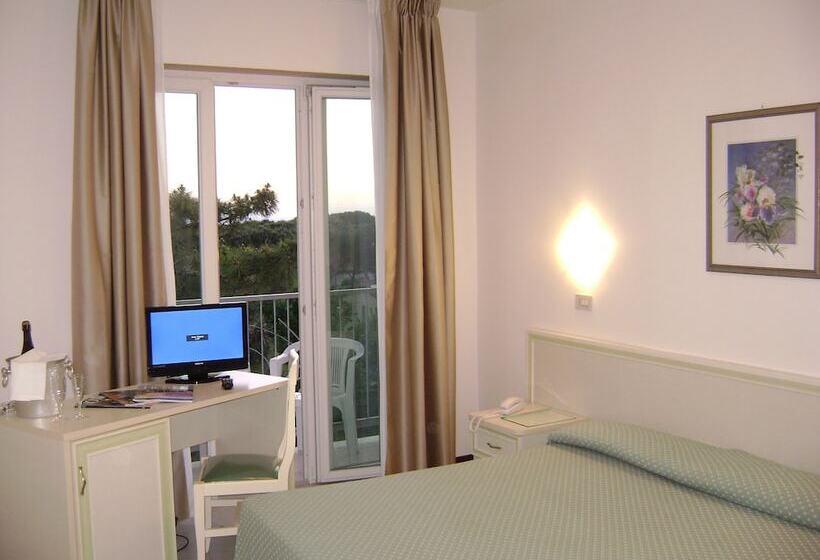 スタンダードルーム, Mediterraneo