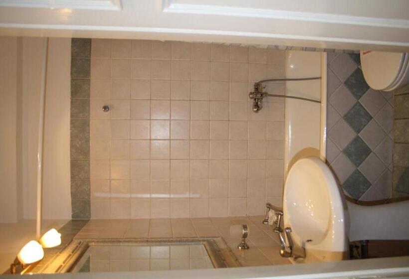 חדר סטנדרט נוף לעיר, Avra