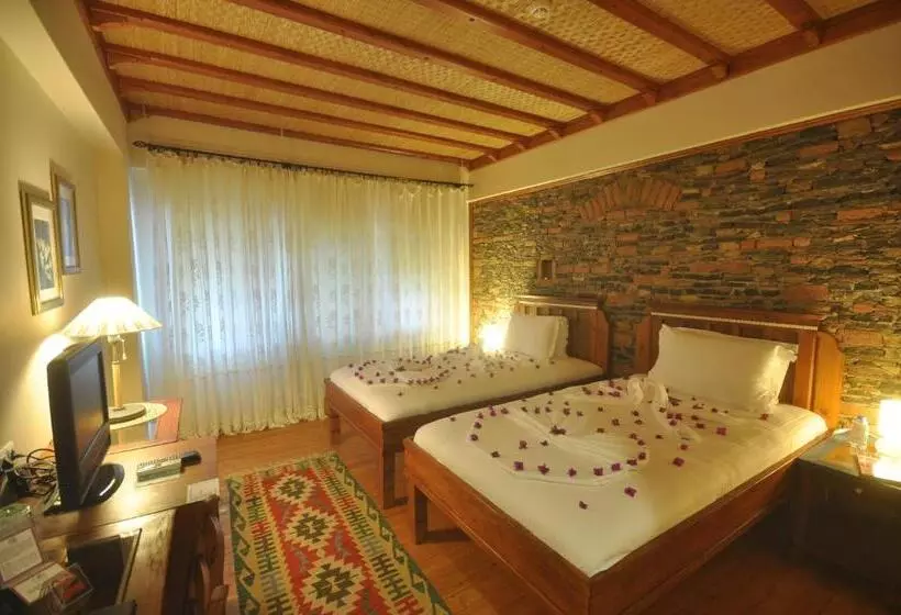اتاق استاندارد با چشم‌انداز باغ, El Vino Hotel & Suites