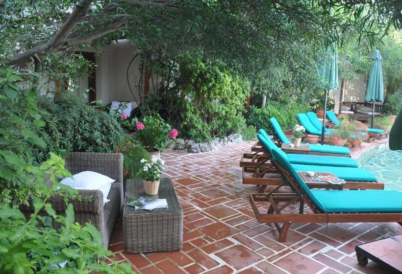 ガーデンビュースイート, El Vino Hotel & Suites