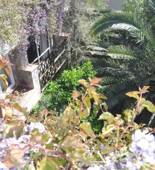 اتاق راحتی, El Vino Hotel & Suites