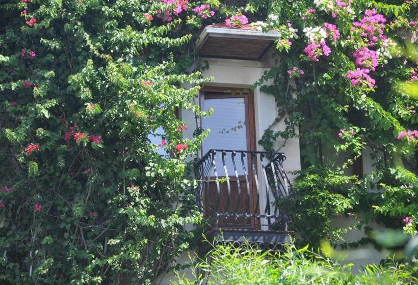 オーシャンビュースタンダードルーム, El Vino Hotel & Suites