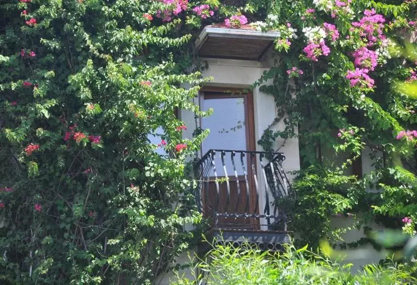 اتاق استاندارد با چشم‌انداز دریا, El Vino Hotel & Suites