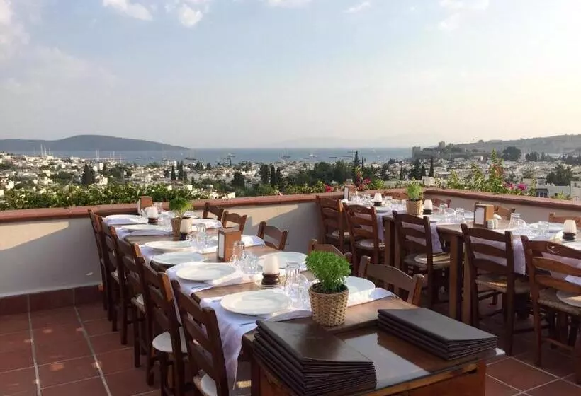 اتاق اکونومی, El Vino Hotel & Suites