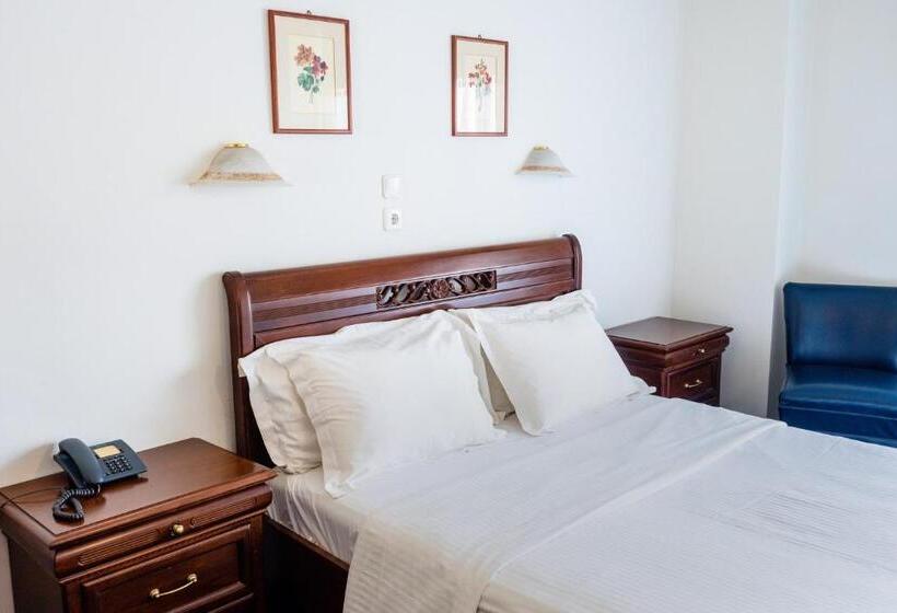 غرفة قياسية مطلة على المدينة, Elena