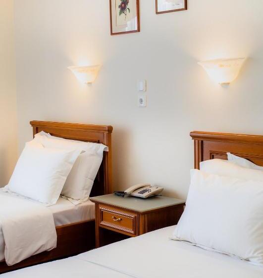 غرفة قياسية مطلة على المدينة, Elena