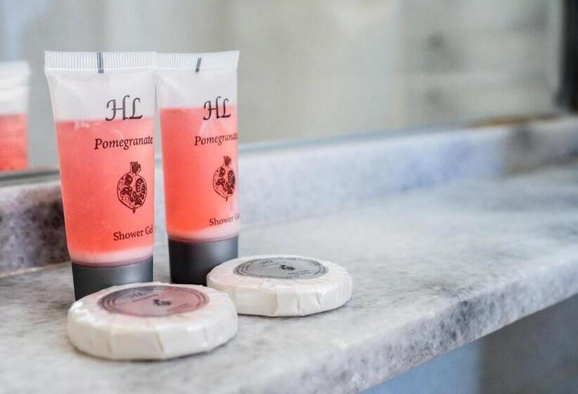 غرفة قياسية فردية مطلة على المدينة, Elena