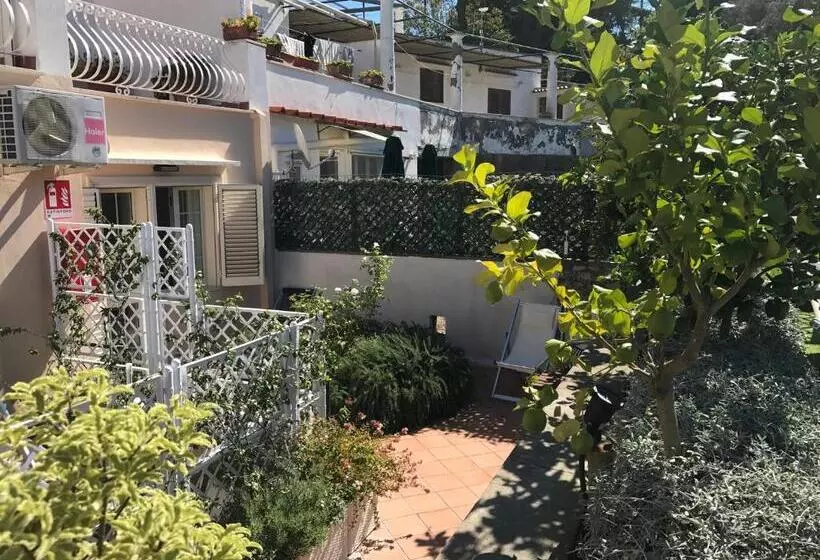 اتاق خانوادگی, La Reginella Capri