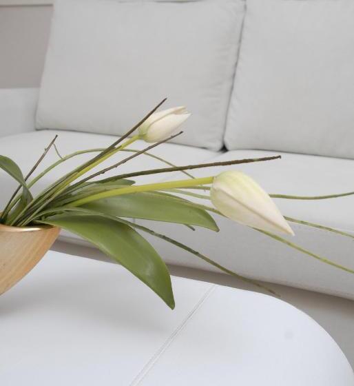 جناح إدارى, Oglakcioglu Park Boutique