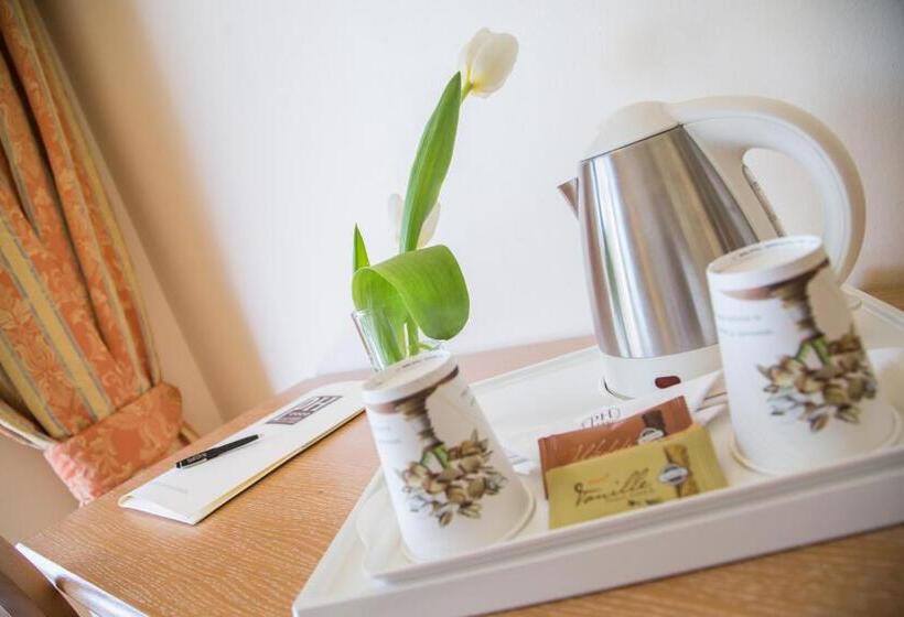 غرفة سوبيريور إطلالة على البحيرة, Palace Hotel Wellness & Spa