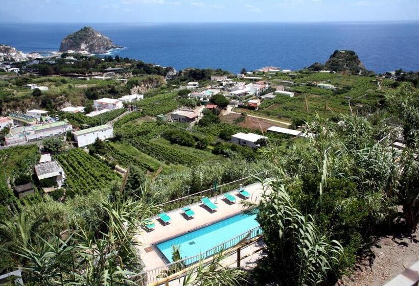 スタンダードルーム, Punta Chiarito Resort