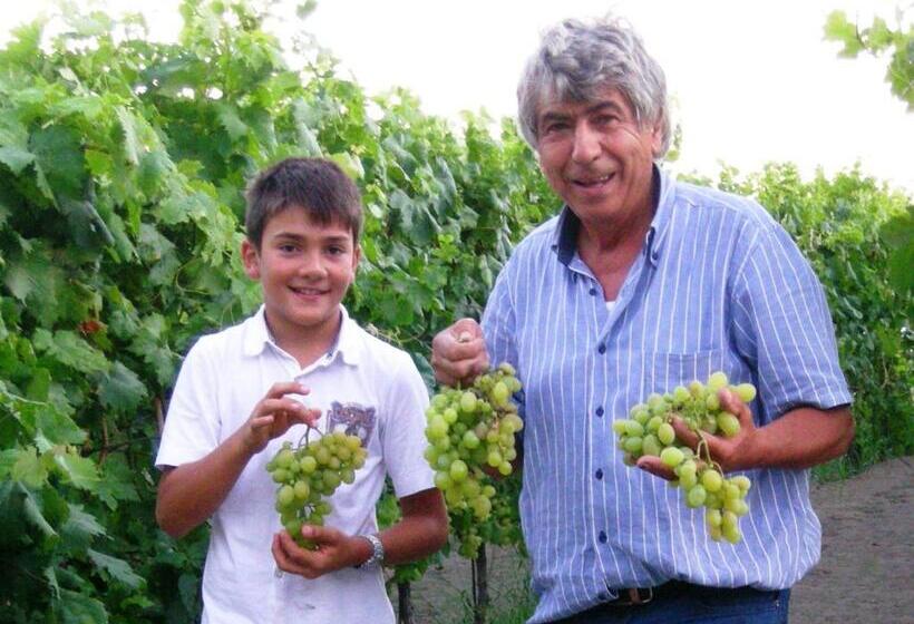 可观海景的舒适型房间, Punta Chiarito Resort