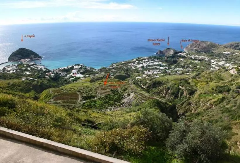 اتاق راحتی با چشم‌انداز دریا, Punta Chiarito Resort