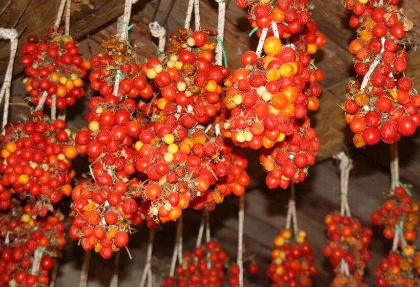 海の見えるコンフォートルーム, Punta Chiarito Resort