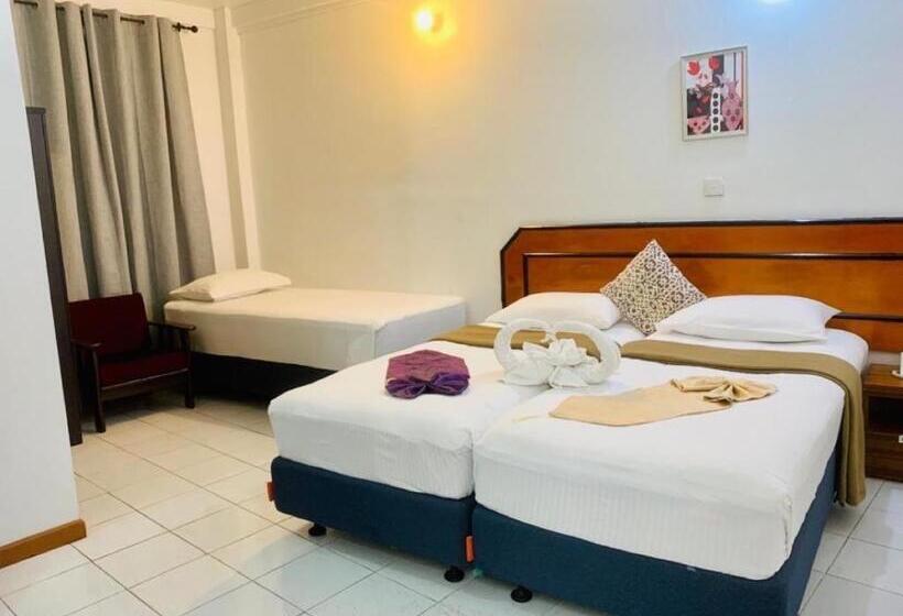 اتاق استاندارد سه نفره, The Park House