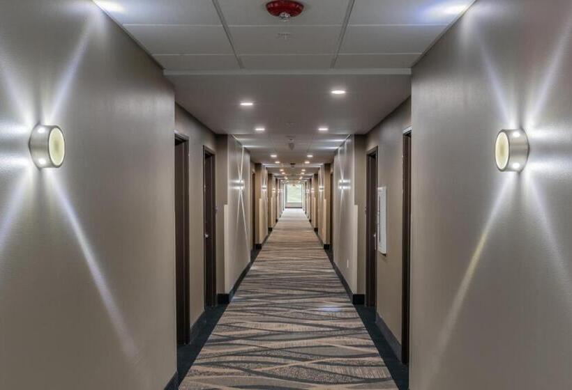 חדר סטנדרט, Best Western Plus Tacoma