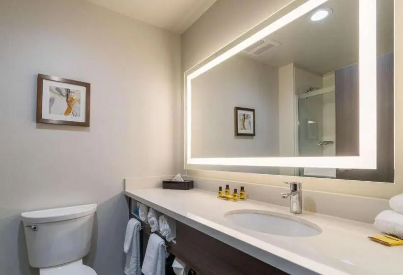 身障者適用キングサイズベッドルーム, Best Western Plus Tacoma