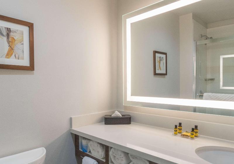 חדר סטנדרט עם מיטת קינג, Best Western Plus Tacoma