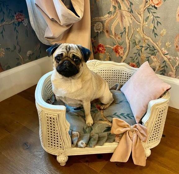 جناح مطل على المدينة, Antica Dimora Desenzano