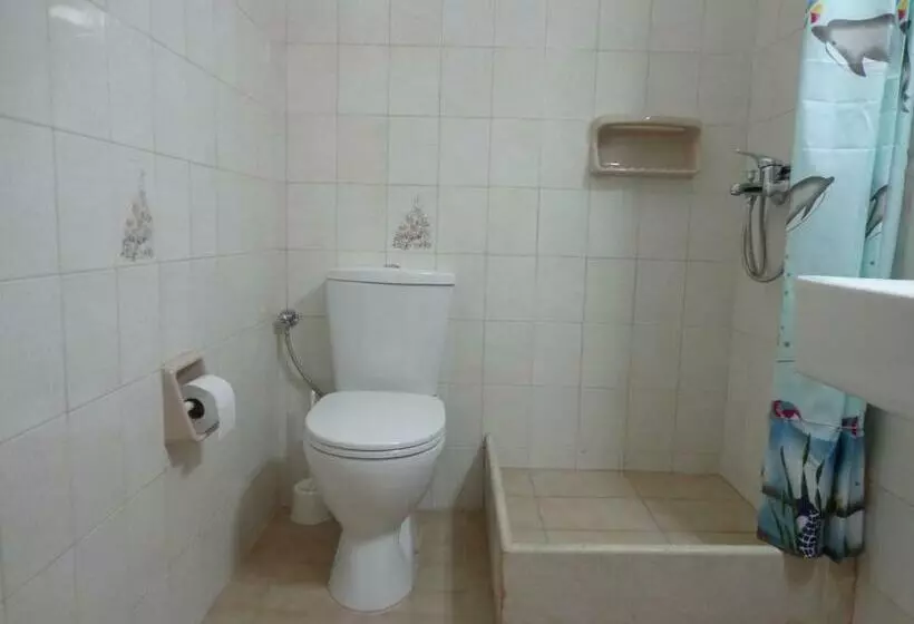 استودیوی استاندارد, Kalypso Gouvia