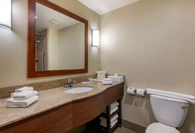 スイート, Comfort Suites Orlando Airport