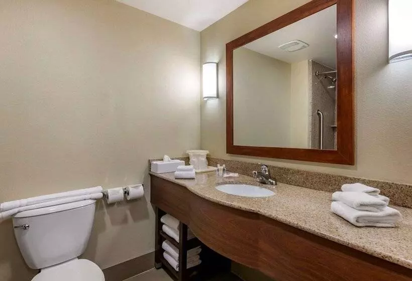 スイート, Comfort Suites Orlando Airport