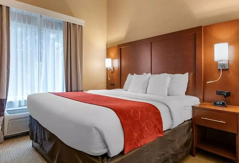 スイート, Comfort Suites Orlando Airport