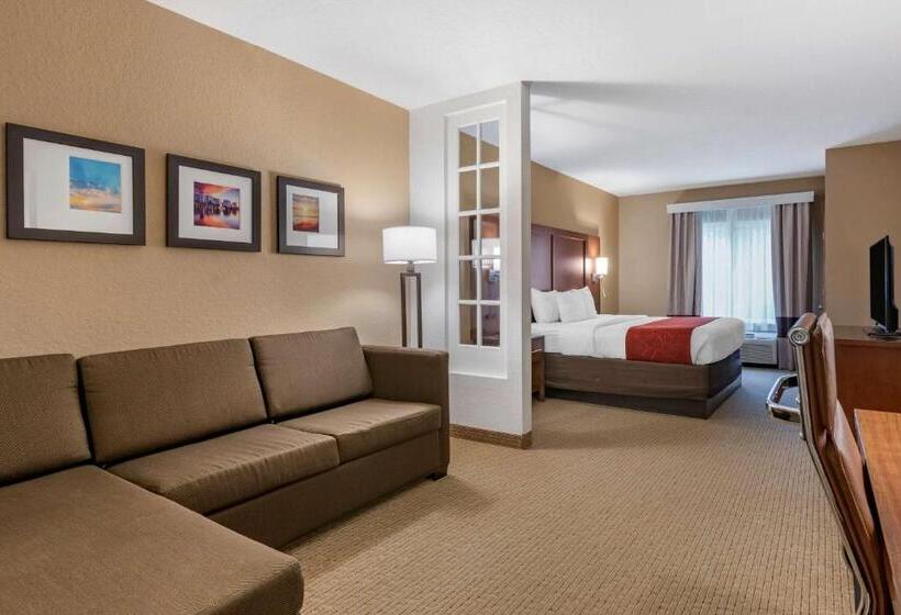 带大床的套房, Comfort Suites Orlando Airport
