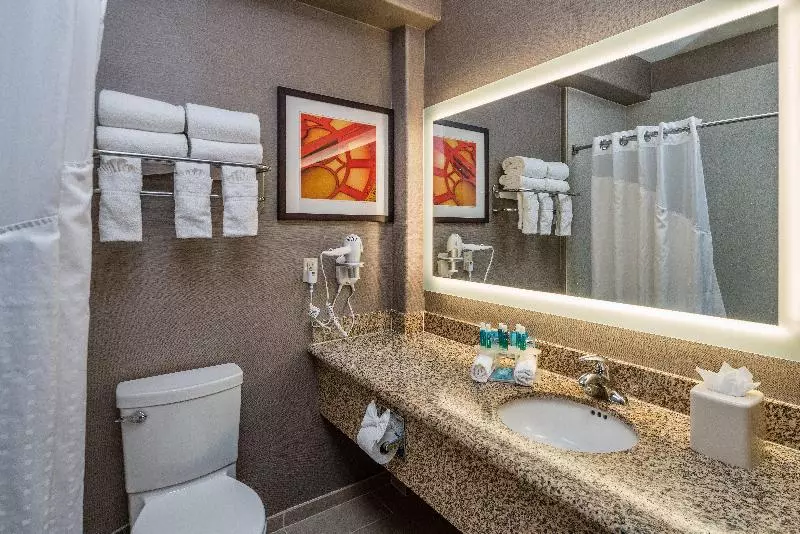 キングサイズベッドのエクゼクティブルーム, Crowne Plaza Reading East