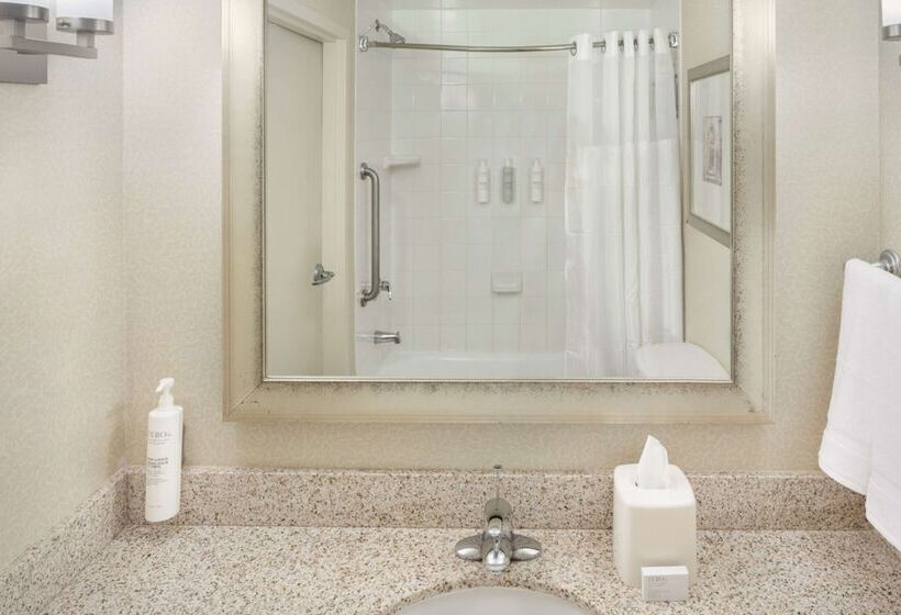 带大床的套房, Hilton Garden Inn Miami Airport West