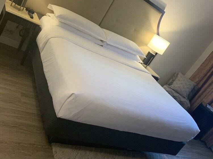 标准间带双人床, Sheraton Brooklyn New York