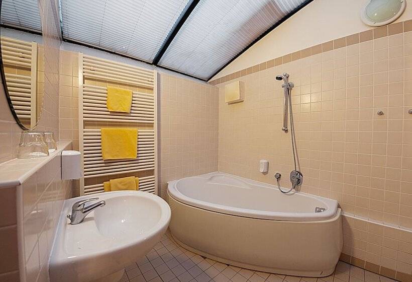 اتاق استاندارد, U Tří Bubnů