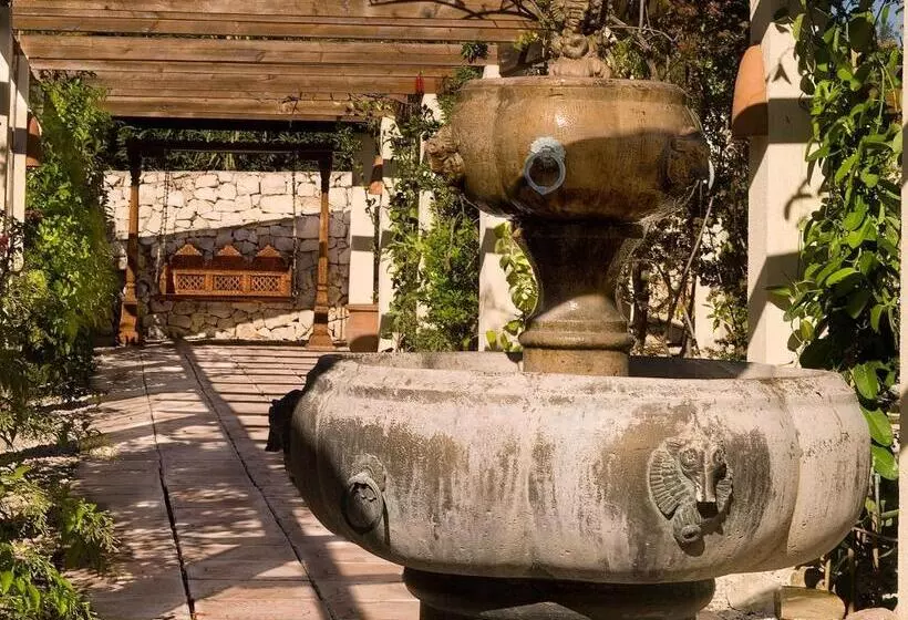 سوییت جونیور, Boutique Hotel La Madrugada